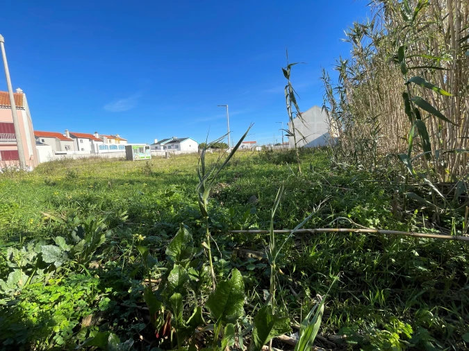 Terreno para Venda em Atouguia da Baleia Foto 12