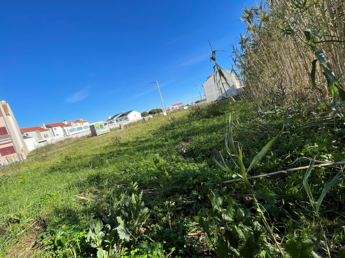 Terreno para Venda em Atouguia da Baleia Foto 14
