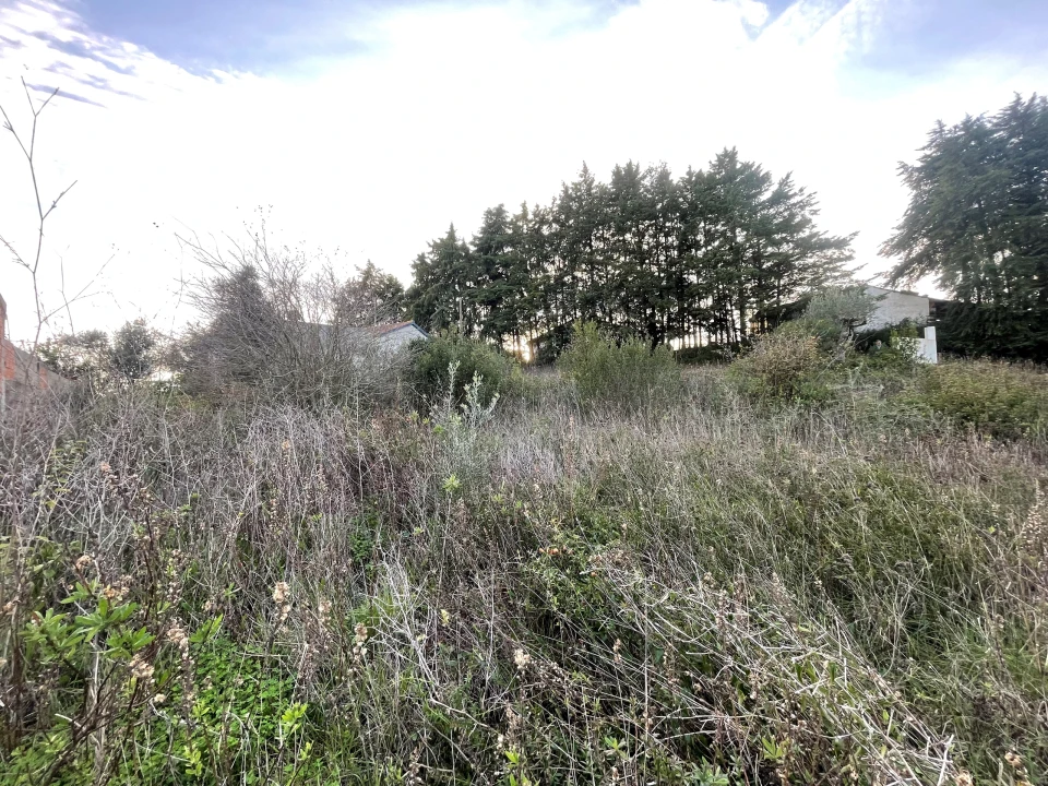 Terreno para Venda em Azoia de Cima e Tremês Foto 7