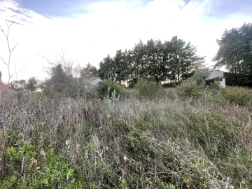 Terreno para Venda em Azoia de Cima e Tremês