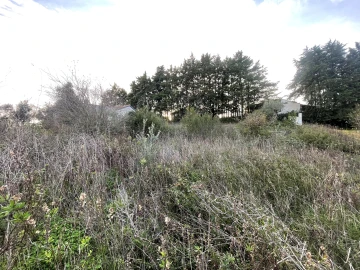 Terreno para Venda em Azoia de Cima e Tremês