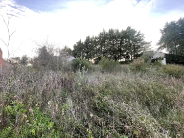 Terreno para Venda em Azoia de Cima e Tremês