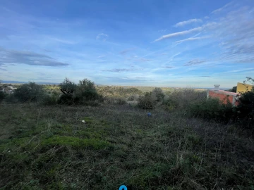 Terreno para Venda em Azoia de Cima e Tremês