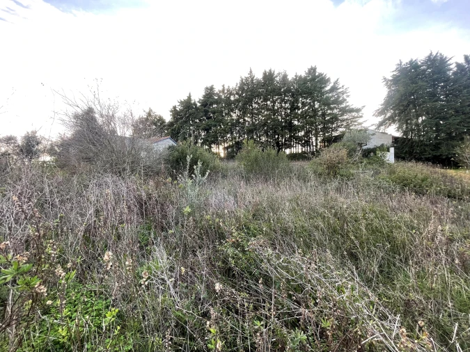 Terreno para Venda em Azoia de Cima e Tremês Foto 8