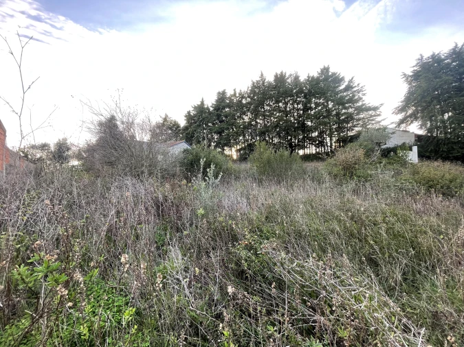 Terreno para Venda em Azoia de Cima e Tremês Foto 9