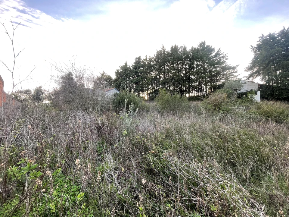 Terreno para Venda em Azoia de Cima e Tremês Foto 9