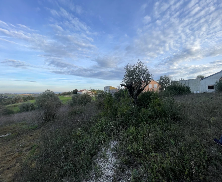 Terreno para Venda em Azoia de Cima e Tremês Foto 2