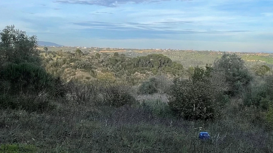 Terreno para Venda em Azoia de Cima e Tremês