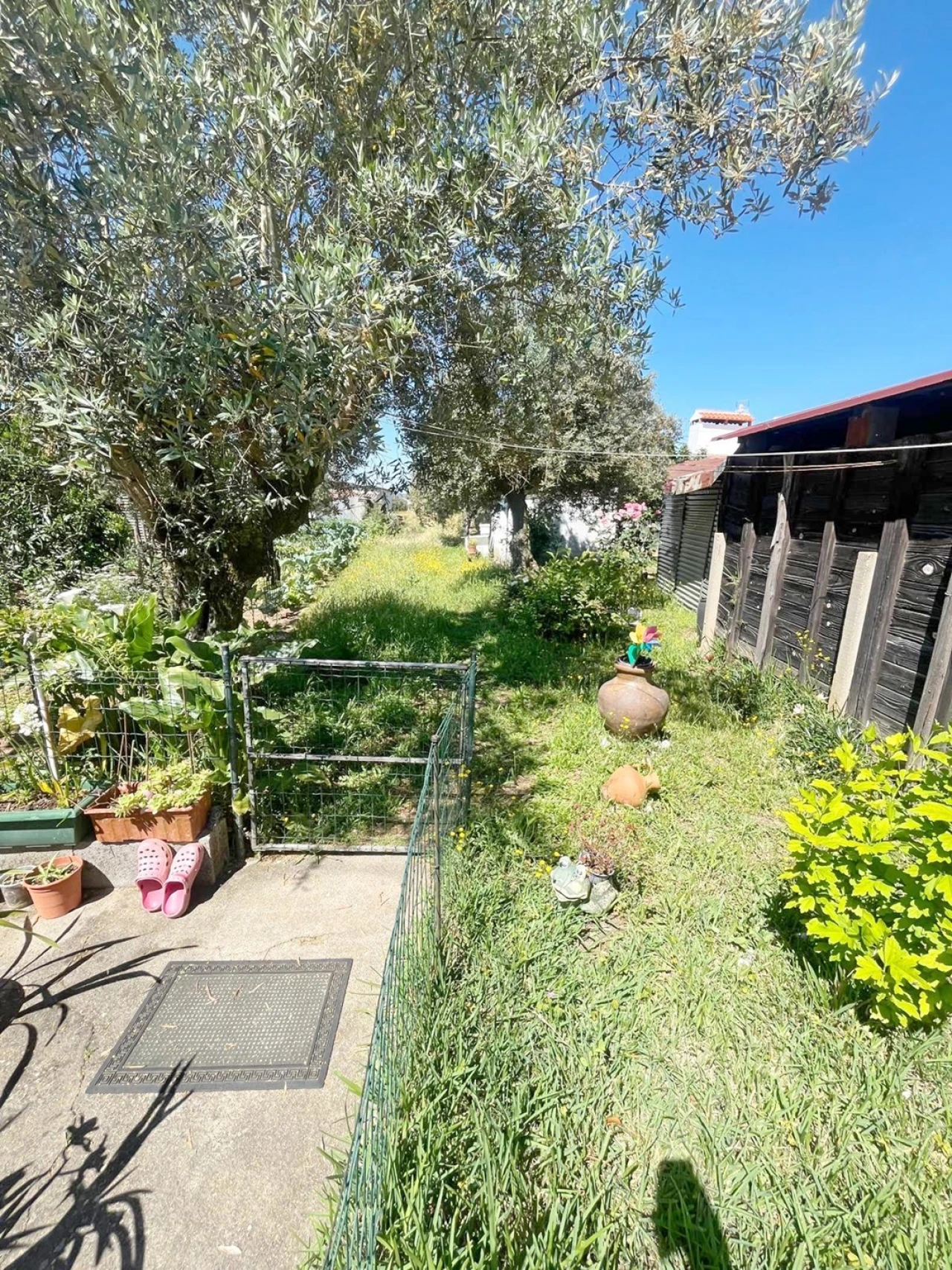 Moradia T2 para Venda em Rio de Moinhos Foto 8