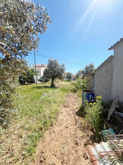 Moradia T2 para Venda em Rio de Moinhos