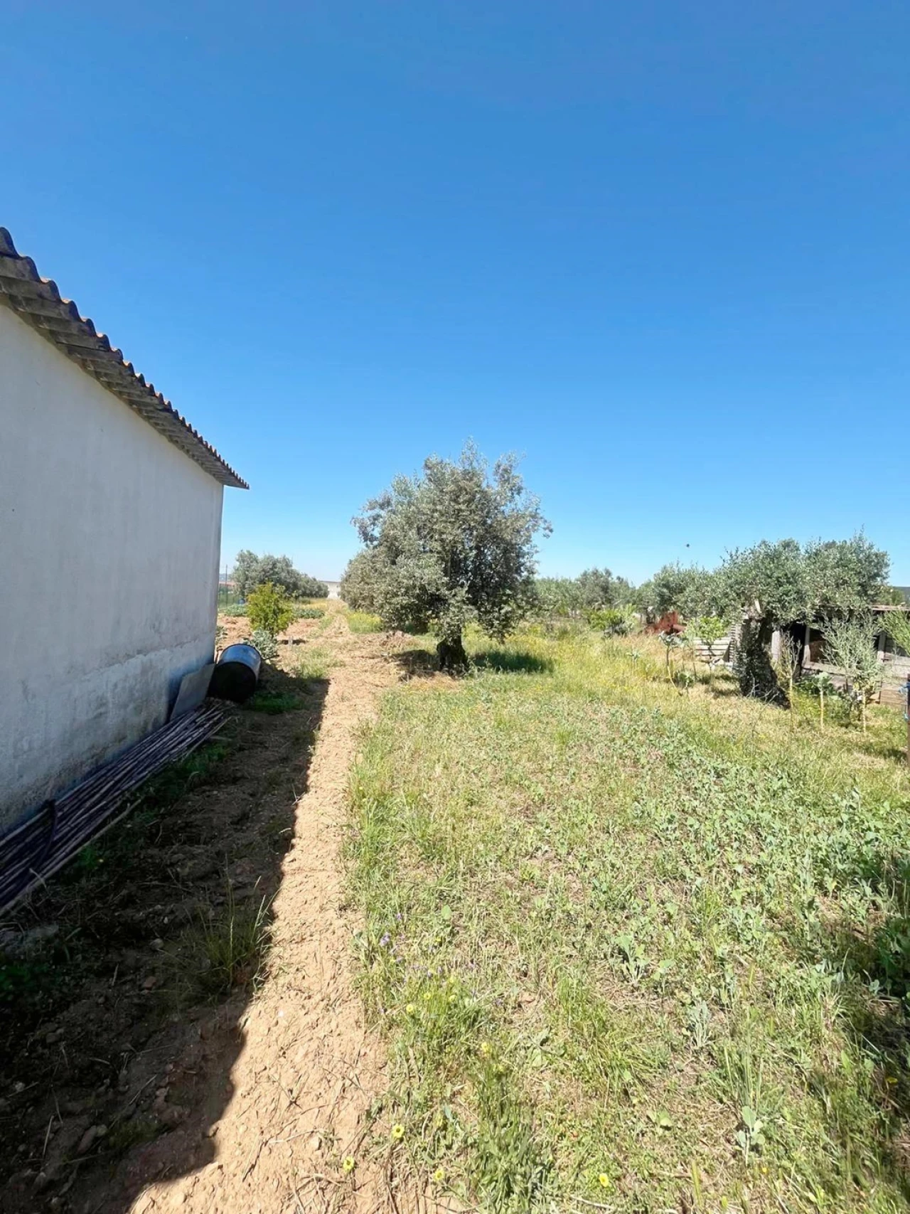 Moradia T2 para Venda em Rio de Moinhos Foto 4