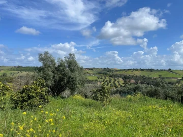 Terreno para Venda em Abitureiras