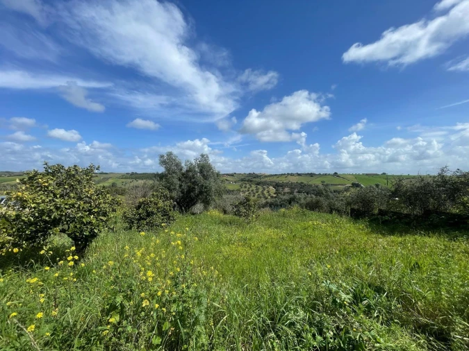 Terreno para Venda em Abitureiras Foto 7