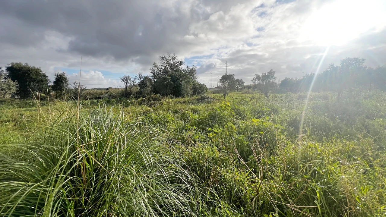 Armazém para Venda em Atouguia da Baleia Foto 15