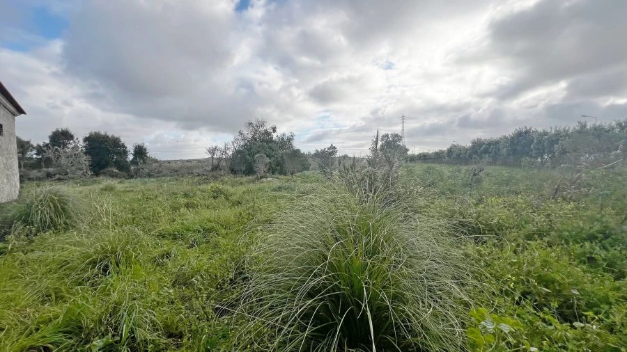 Armazém para Venda em Atouguia da Baleia Foto 10
