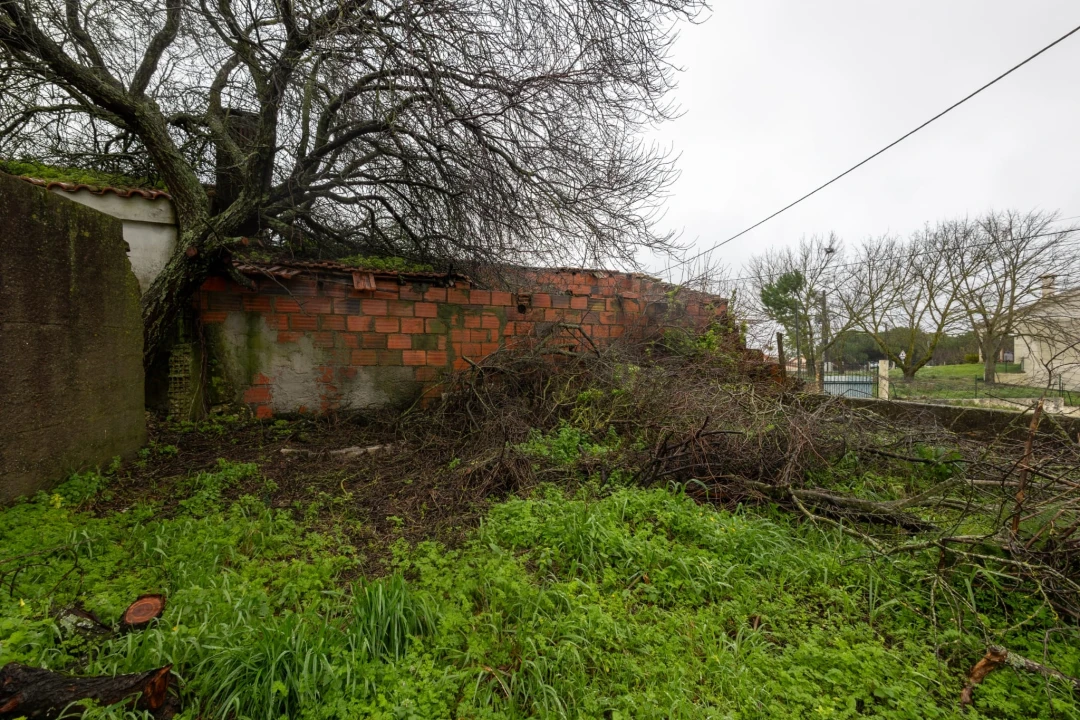 Moradia T3 para Venda em Azoia de Cima e Tremês Foto 18