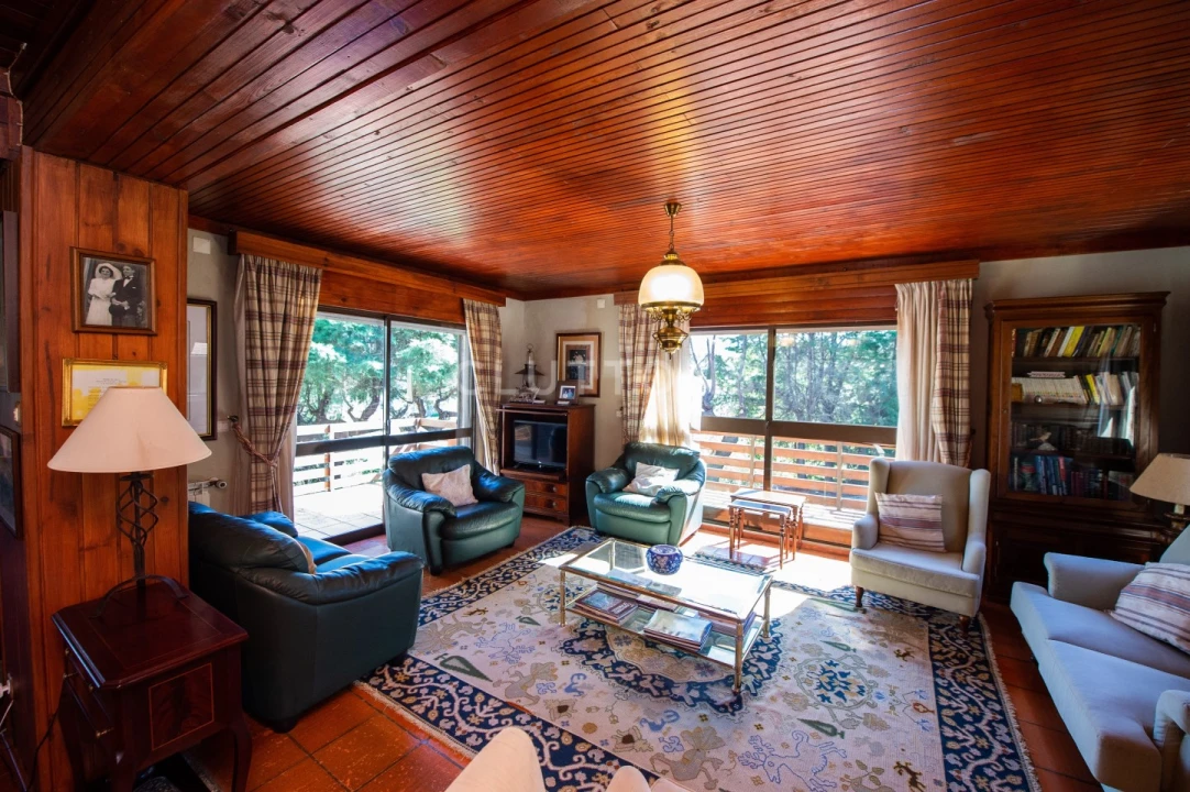 Quinta T15 para Venda em São Pedro e Santa Maria e Vila Boa do Mondego Foto 9