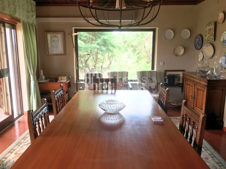 Quinta T15 para Venda em São Pedro e Santa Maria e Vila Boa do Mondego Foto 15