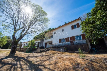 Quinta T15 para Venda em São Pedro e Santa Maria e Vila Boa do Mondego