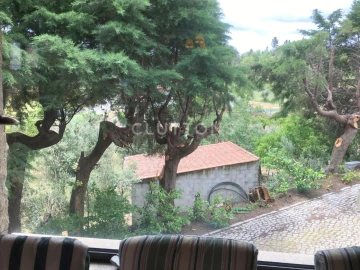 Quinta T15 para Venda em São Pedro e Santa Maria e Vila Boa do Mondego