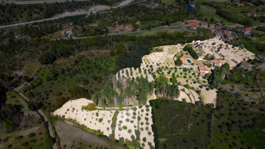 Quinta T15 para Venda em São Pedro e Santa Maria e Vila Boa do Mondego Planta 1