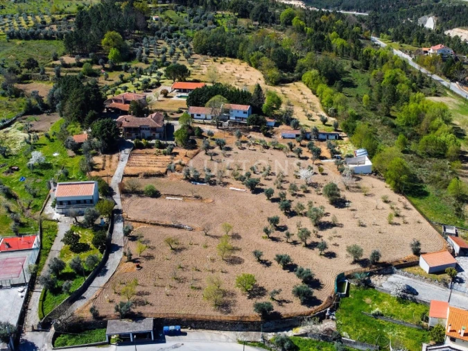 Quinta T15 para Venda em São Pedro e Santa Maria e Vila Boa do Mondego Foto 33