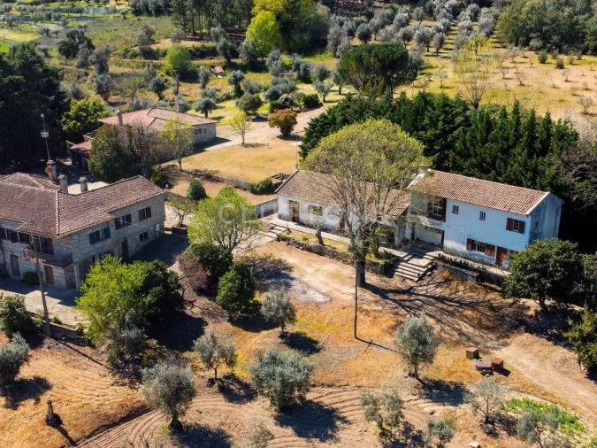 Quinta T15 para Venda em São Pedro e Santa Maria e Vila Boa do Mondego Foto 35