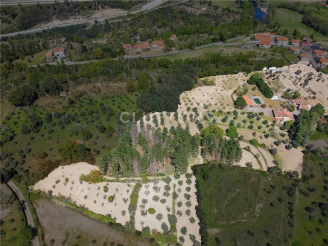 Quinta T15 para Venda em São Pedro e Santa Maria e Vila Boa do Mondego Foto 3