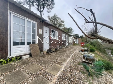 Terreno para Venda em Achete, Azoia de Baixo e Póvoa de Santarém