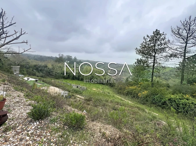 Terreno para Venda em Achete, Azoia de Baixo e Póvoa de Santarém Foto 11