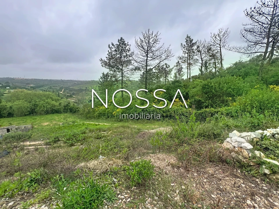 Terreno para Venda em Achete, Azoia de Baixo e Póvoa de Santarém Foto 10