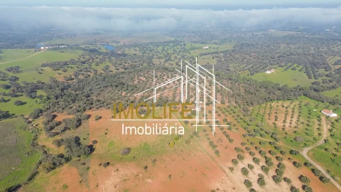 Moradia T1 para Venda em Pavia