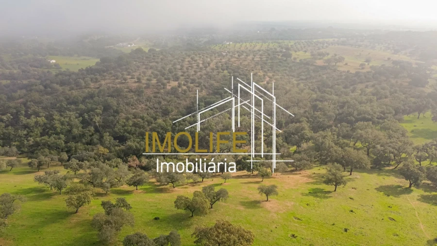 Moradia T1 para Venda em Pavia Foto 19