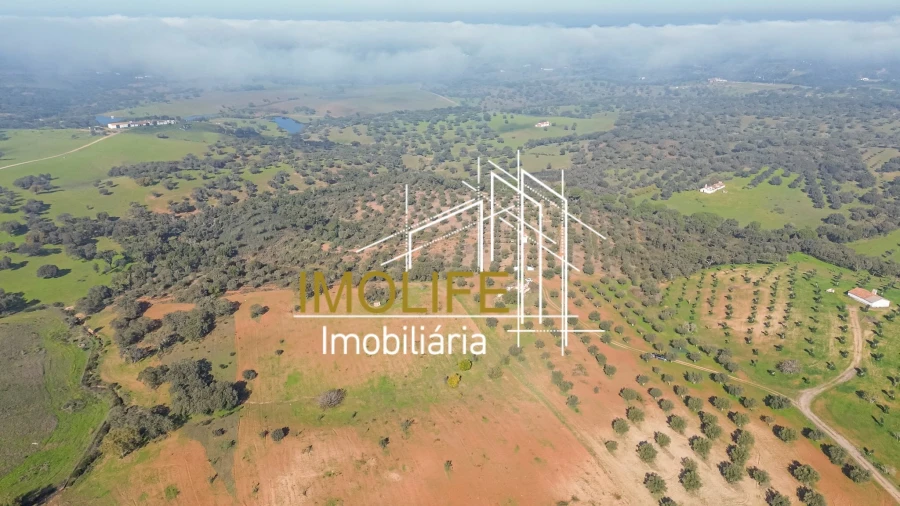 Moradia T1 para Venda em Pavia Foto 20