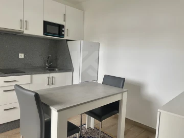 Apartamento T1 para Arrendamento em Funchal (São Pedro)