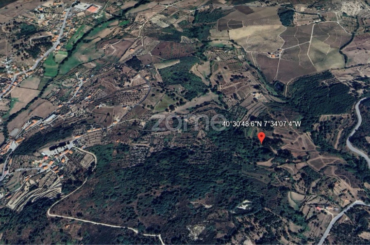 Terreno para Venda em São Paio Foto 3