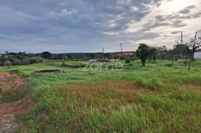 Terreno para Venda em Almoster