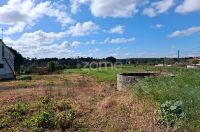 Terreno para Venda em Almoster