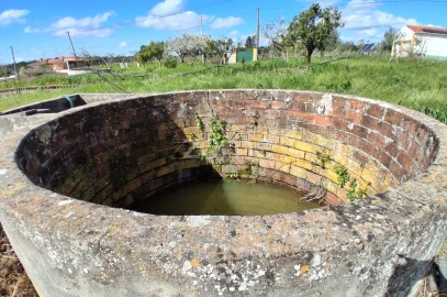 Terreno para Venda em Almoster