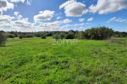Terreno para Venda em Almoster