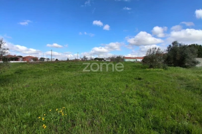 Terreno para Venda em Almoster