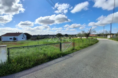 Terreno para Venda em Almoster