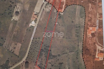 Terreno para Venda em Almoster