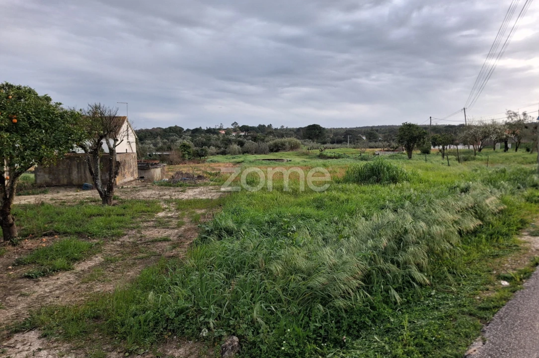 Terreno para Venda em Almoster Foto 2