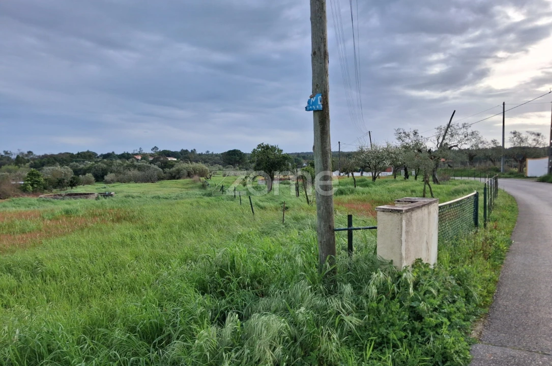 Terreno para Venda em Almoster Foto 3
