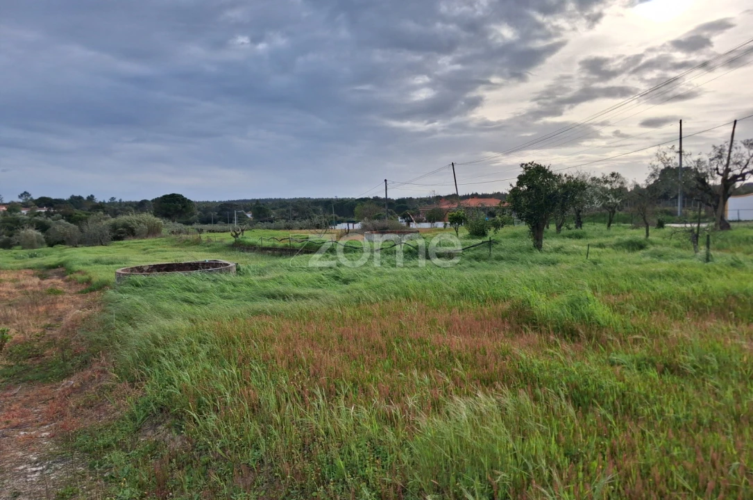 Terreno para Venda em Almoster Foto 4