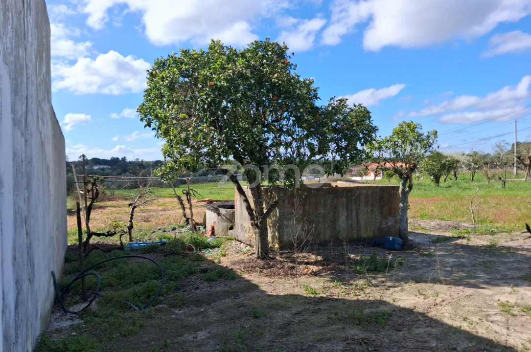 Terreno para Venda em Almoster Foto 6