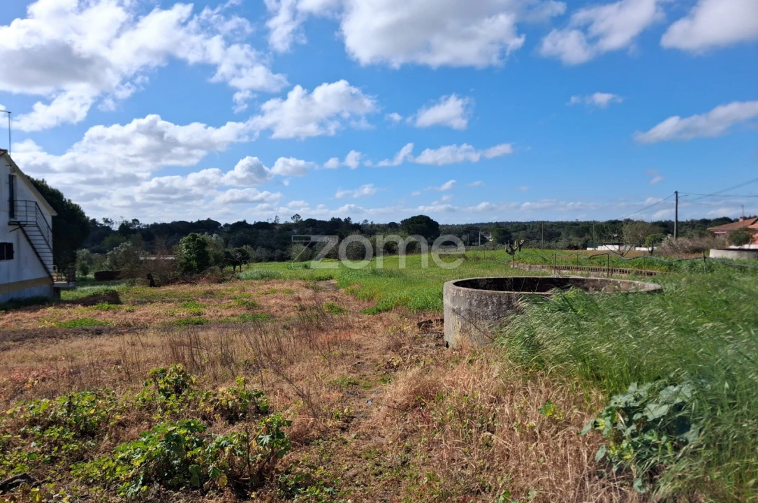 Terreno para Venda em Almoster Foto 1