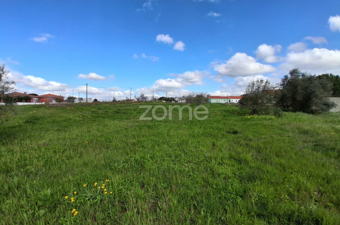 Terreno para Venda em Almoster Foto 14