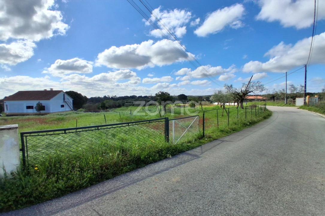 Terreno para Venda em Almoster Foto 10